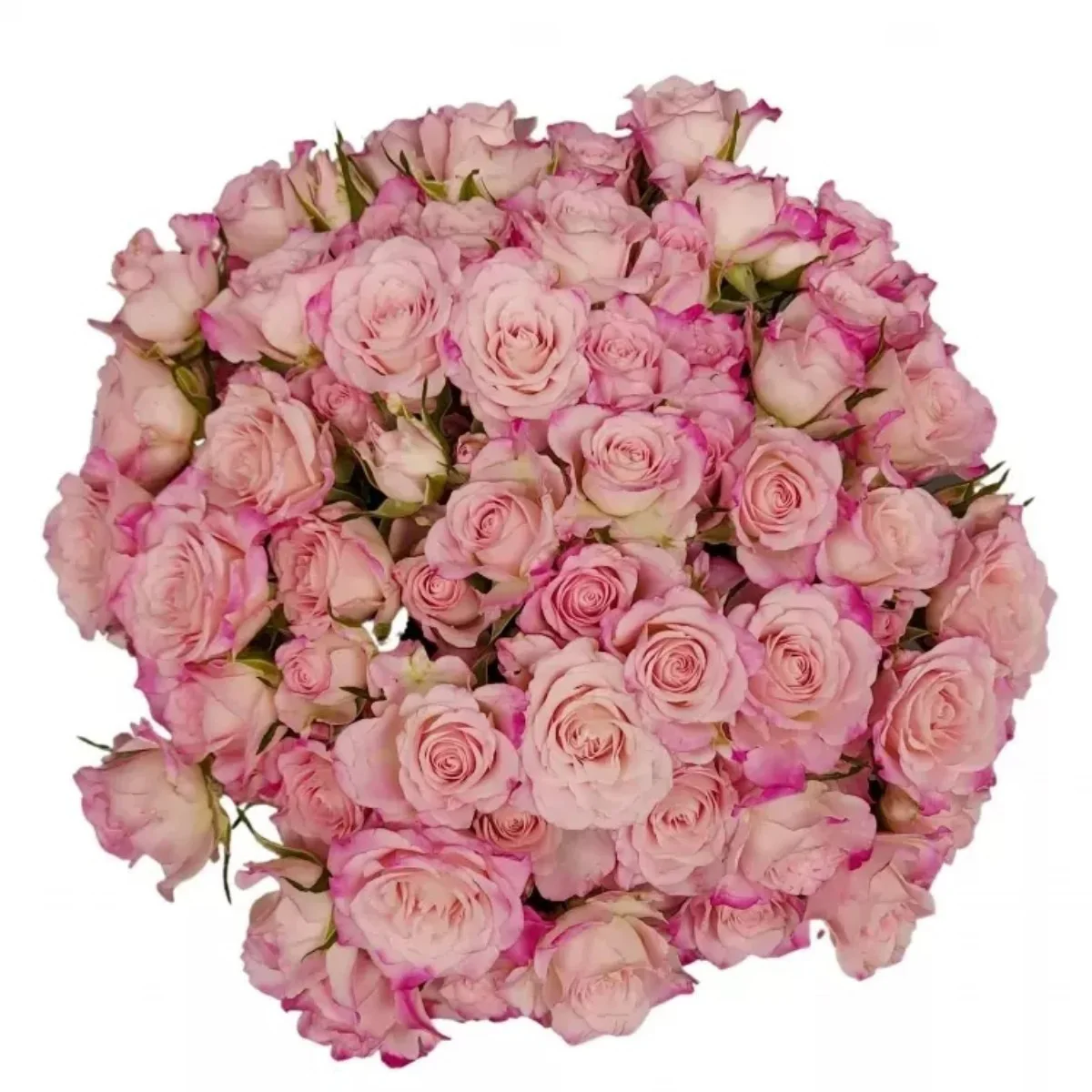 R Tr Speak Blossoms