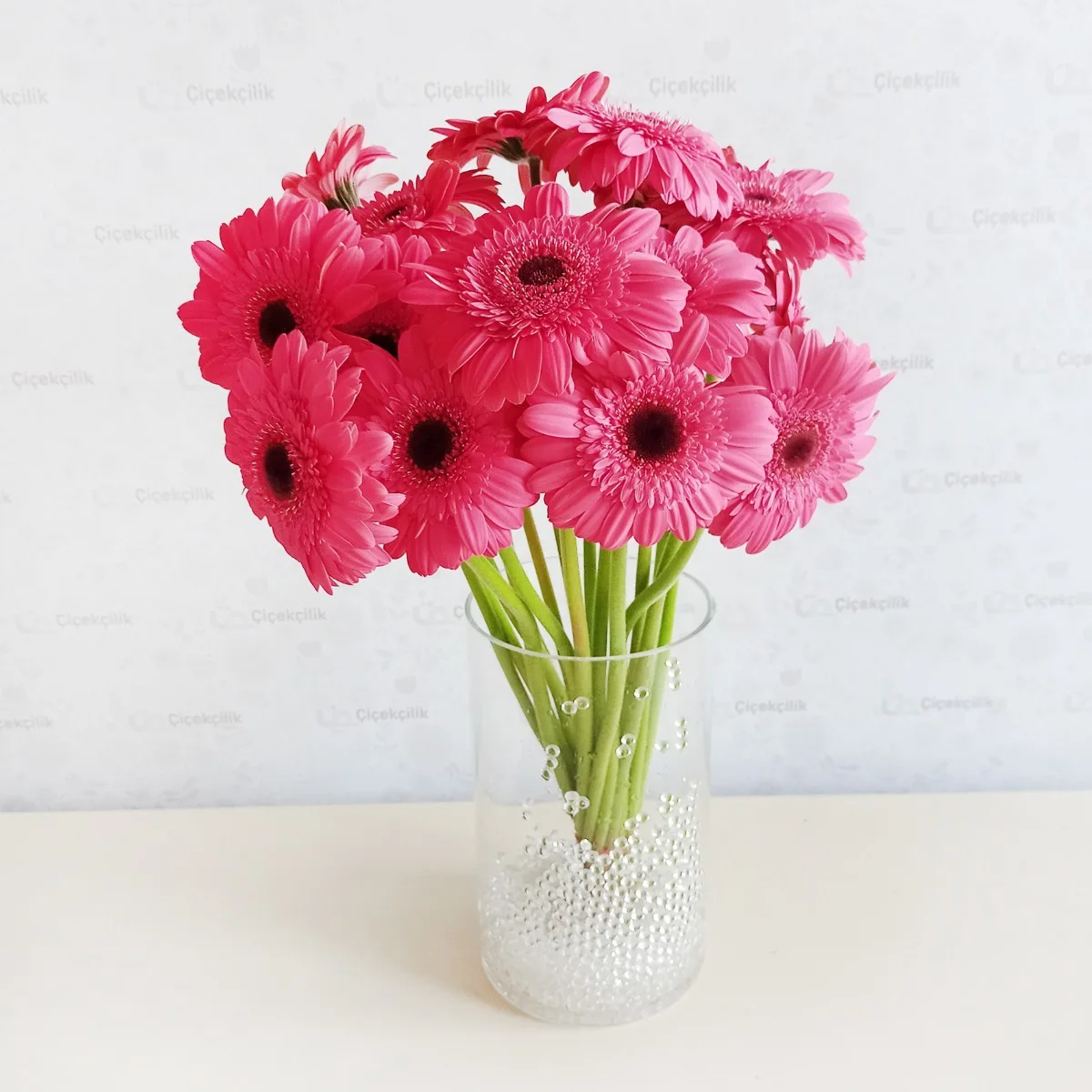 Gerbera Mor - Lizy Fuşya